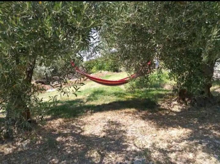 Panorama Olive Garden Apartment Μάκρη Εξωτερικό φωτογραφία