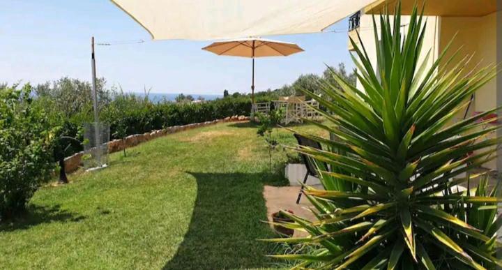 Panorama Olive Garden Apartment Μάκρη Εξωτερικό φωτογραφία